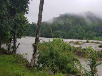 Commercial Land for SaleThrissur, Chalakudy, Athirapilly