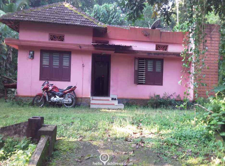 21 Cents Land for Sale Pullad Pathanamthitta Hello Address