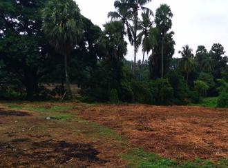 Commercial Land for Lease in Palakkad, Alathur, Erimayur, 678546