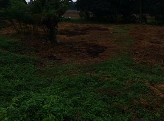 Commercial Land for Lease in Palakkad, Alathur, Erimayur, 678546