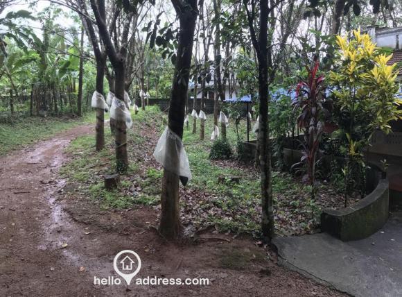 Road Towards the Entrance of the Land.