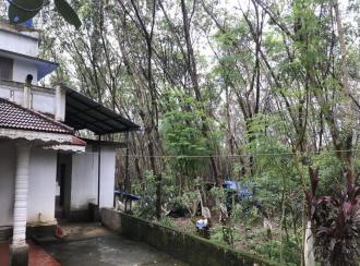 Residential Land for Sale in Palakkad, Ottappalam, Lakkidi perur, Nellikrussi , Mulanjoor.