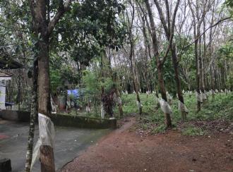 Residential Land for Sale in Palakkad, Ottappalam, Lakkidi perur, Nellikrussi , Mulanjoor.