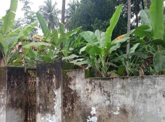 Residential Land for Sale in Palakkad, Chittur, Vallanghy, Edapotta