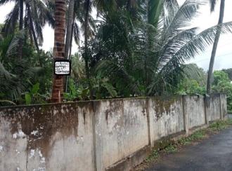 Residential Land for Sale in Palakkad, Chittur, Vallanghy, Edapotta