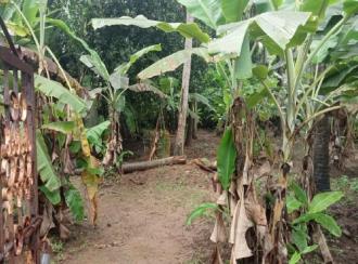 Residential Land for Sale in Palakkad, Chittur, Vallanghy, Edapotta