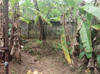 Residential Land for Sale in Palakkad, Chittur, Vallanghy, Edapotta