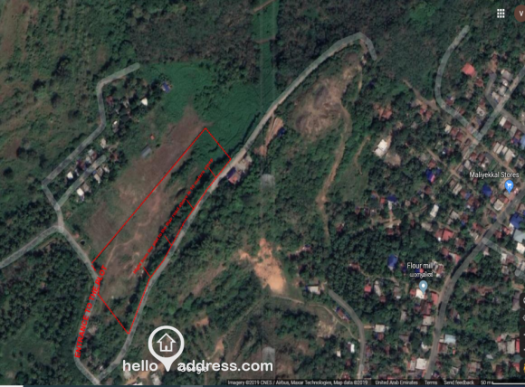 Google Sketch of the Plot
