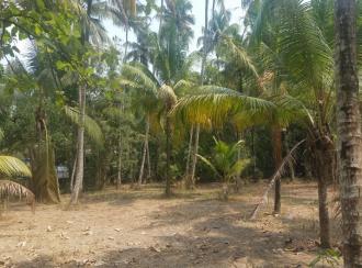 Residential Land for Sale in Thrissur, Kanjany, Kanjany