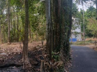Residential Land for Sale in Thrissur, Kanjany, Kanjany