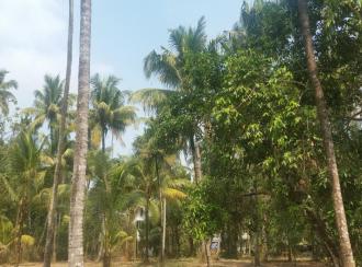 Residential Land for Sale in Thrissur, Kanjany, Kanjany