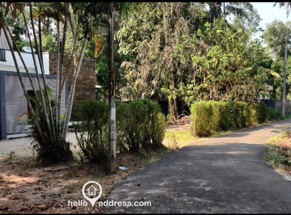 Front View Facing Road
