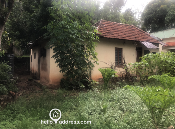 Tiled house in the plot