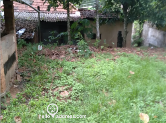 Plot View
