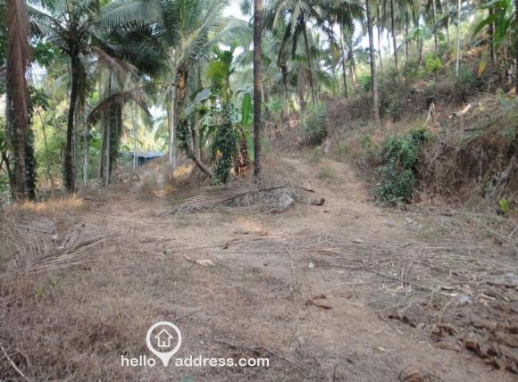 Agricultural Land for Sale