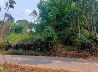Residential Land for Sale in Kottayam, Ponkunnam, Kodungoor, Chamampathal