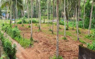 Residential Land for Sale in Kozhikode, Kakkodi, Kakkodi