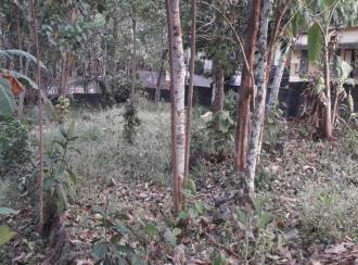 Residential Land for Sale in Pathanamthitta, Mallappally, Vennikulam
