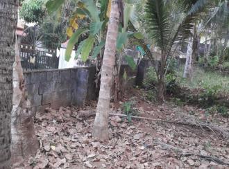 Residential Land for Sale in Pathanamthitta, Mallappally, Vennikulam