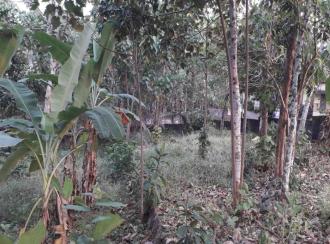 Residential Land for Sale in Pathanamthitta, Mallappally, Vennikulam