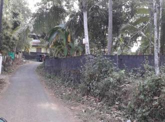 Residential Land for Sale in Pathanamthitta, Mallappally, Vennikulam