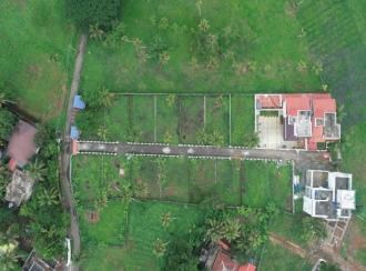 Residential Land for Sale in Ernakulam, Aluva, West kadungalloor, Vrindawan Bus Stop