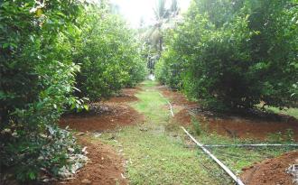 Residential House Villa for Rent in Alleppey, Cherthala, Cherthala town, St Martins Nagar