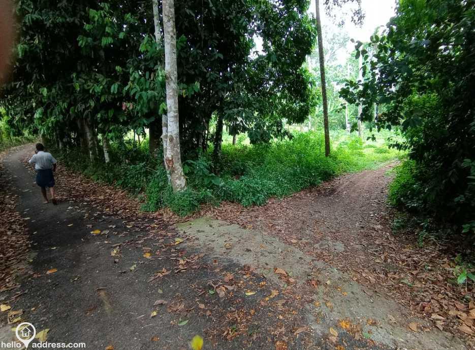 Residential Land Plots In Kanjiramattom Ernakulam For Sale Helloaddress Com