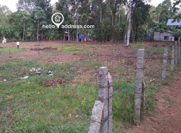 Residential Land For Sale In Parambuzha Helloaddress Com