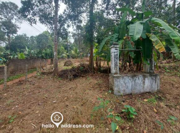 land + well