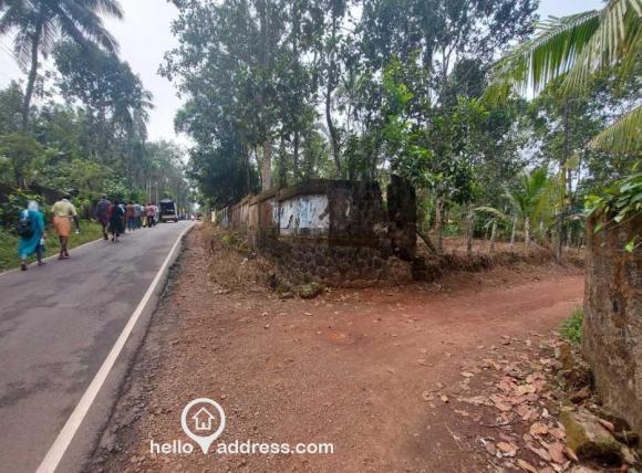 entry from main road - boundary wall of plot