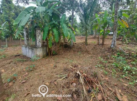 land + well