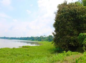 Commercial Land for Sale in Ernakulam, Aluva, Aluva, maram pilly, chalackal, Marampally, 6 KM to Aluva, 8 KM to perumbavoor