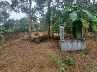 Residential Land for Sale in Kottayam, Changanassery, Mammoodu