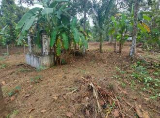 Residential Land for Sale in Kottayam, Changanassery, Mammoodu