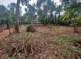 Residential Land for Sale in Kottayam, Changanassery, Mammoodu
