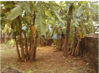 Residential Land for Sale in Thrissur, Thrissur, Thrissur town
