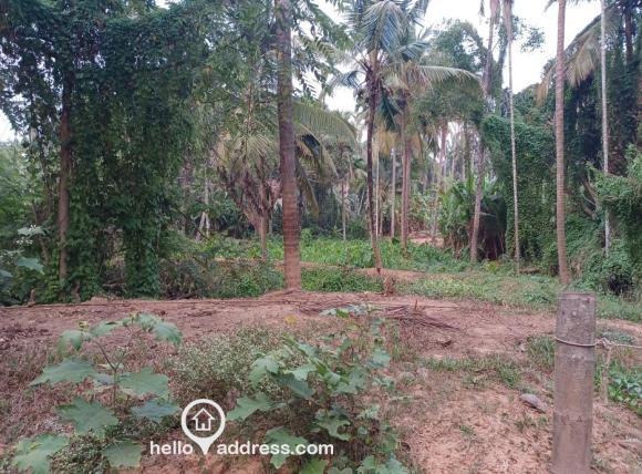 Residential Land for Sale