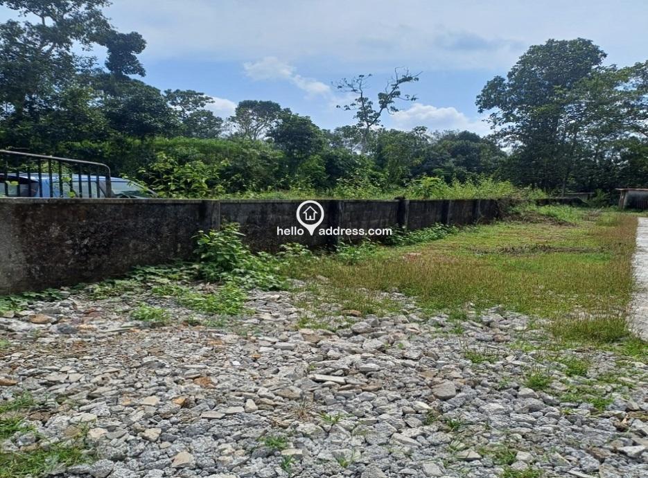 Residential Land For Sale In Kottayam Near Ettumanoor Town Nethaji Nagar.