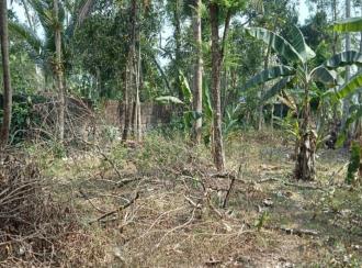 Residential House Villa for Sale in Kottayam, Kottayam town, Arpookara