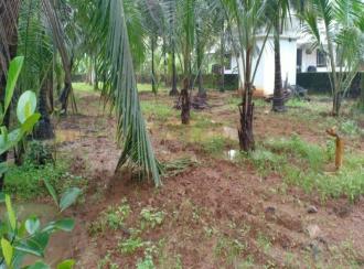 Residential Land for Sale in Malappuram, Ponnani, Chamravattam, Purathur Service Co-Op Bank