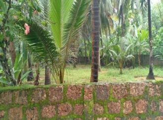 Residential Land for Sale in Malappuram, Ponnani, Chamravattam, Purathur Service Co-Op Bank