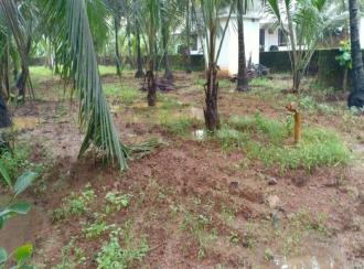 Residential Land for Sale in Malappuram, Ponnani, Chamravattam, Purathur Service Co-Op Bank