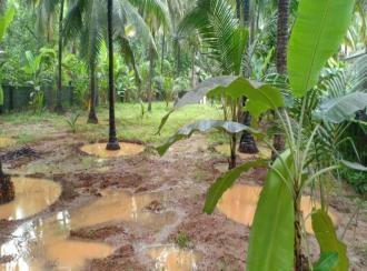 Residential Land for Sale in Malappuram, Ponnani, Chamravattam, Purathur Service Co-Op Bank