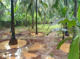 Residential Land for Sale in Malappuram, Ponnani, Chamravattam, Purathur Service Co-Op Bank