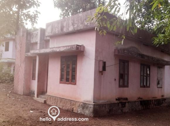Residential House Villa for Sale