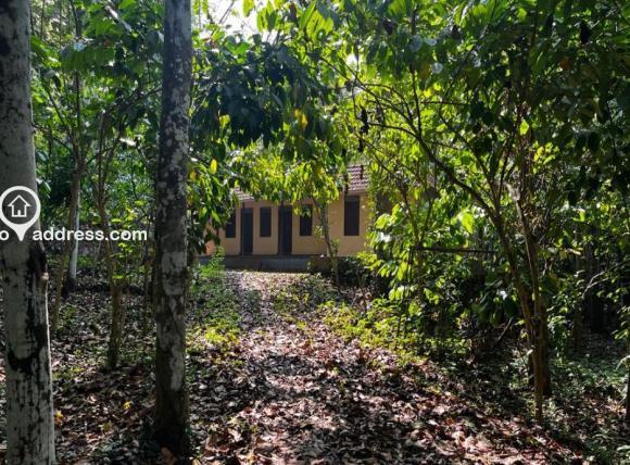 Entrance road to house and property