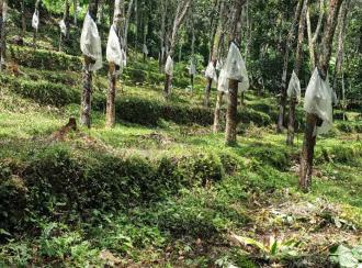 കൃഷി ഭൂമി വില്പനയ്ക്ക് കോട്ടയം, Kanjirapally, Kalaketty, Kappad Moozhicad