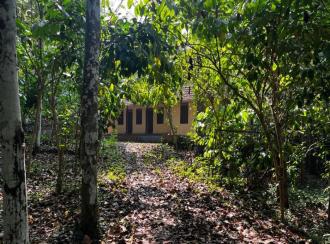 കൃഷി ഭൂമി വില്പനയ്ക്ക് കോട്ടയം, Kanjirapally, Kalaketty, Kappad Moozhicad