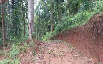 Residential Land for Sale in Idukki, Nedumkandam, Thokkupalam